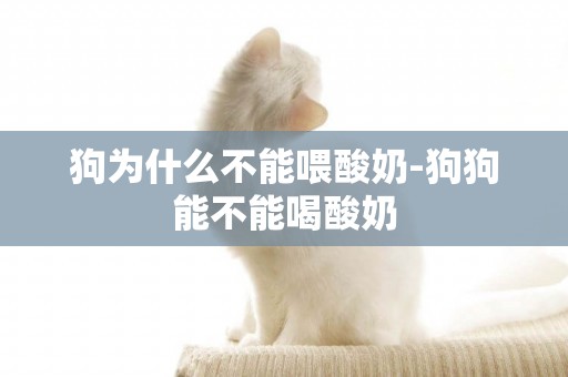 狗為什么不能喂酸奶-狗狗能不能喝酸奶