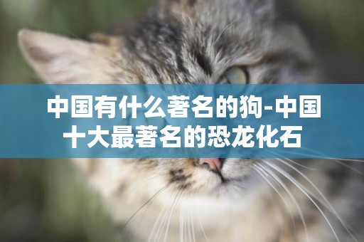 中國有什么著名的狗-中國十大最著名的恐龍化石
