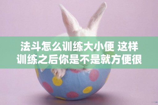 法斗怎么訓練大小便 這樣訓練之后你是不是就方便很多了！