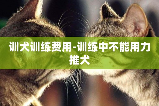 訓犬訓練費用-訓練中不能用力推犬