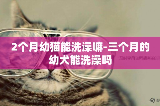 2個月幼貓能洗澡嘛-三個月的幼犬能洗澡嗎