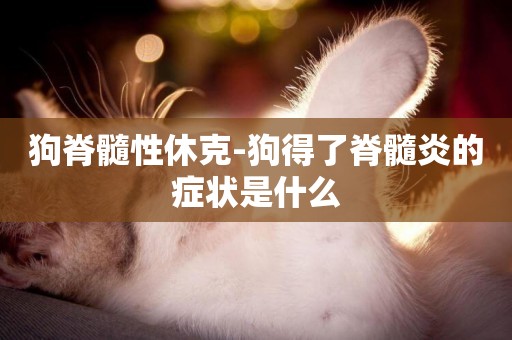 狗脊髓性休克-狗得了脊髓炎的癥狀是什么