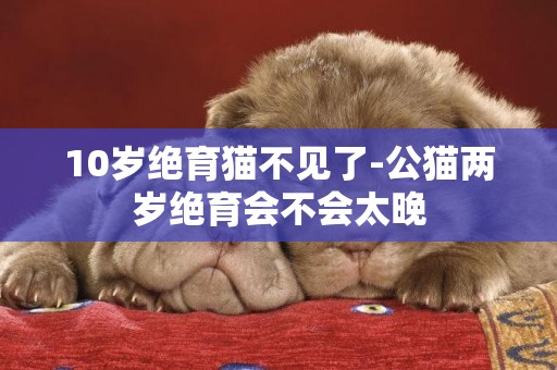 10歲絕育貓不見了-公貓兩歲絕育會不會太晚