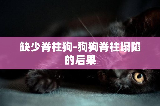 缺少脊柱狗-狗狗脊柱塌陷的后果