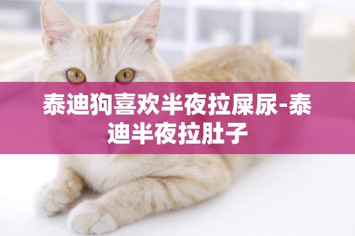 泰迪狗喜歡半夜拉屎尿-泰迪半夜拉肚子