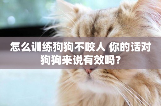 怎么訓練狗狗不咬人 你的話對狗狗來說有效嗎？