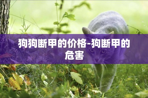 狗狗斷甲的價格-狗斷甲的危害