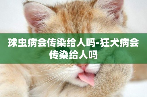 球蟲病會傳染給人嗎-狂犬病會傳染給人嗎