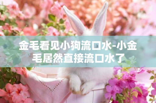 金毛看見小狗流口水-小金毛居然直接流口水了