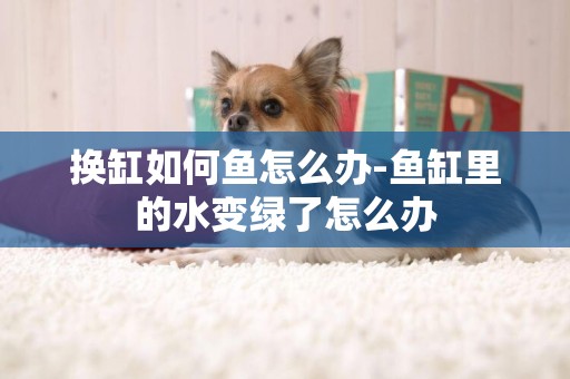 換缸如何魚怎么辦-魚缸里的水變綠了怎么辦