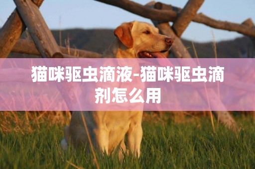 貓咪驅蟲滴液-貓咪驅蟲滴劑怎么用