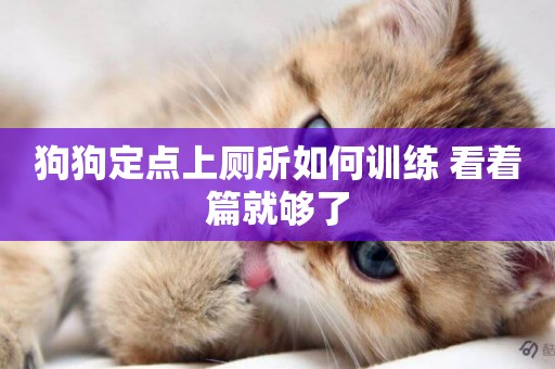 狗狗定點上廁所如何訓練 看著篇就夠了