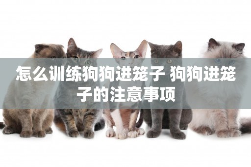 怎么訓練狗狗進籠子 狗狗進籠子的注意事項