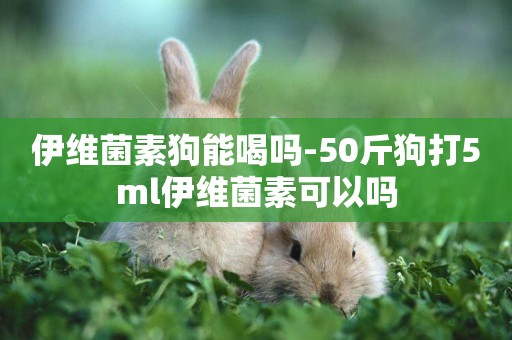 伊維菌素狗能喝嗎-50斤狗打5ml伊維菌素可以嗎