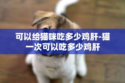可以給貓咪吃多少雞肝-貓一次可以吃多少雞肝