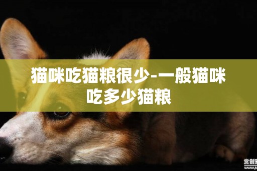 貓咪吃貓糧很少-一般貓咪吃多少貓糧