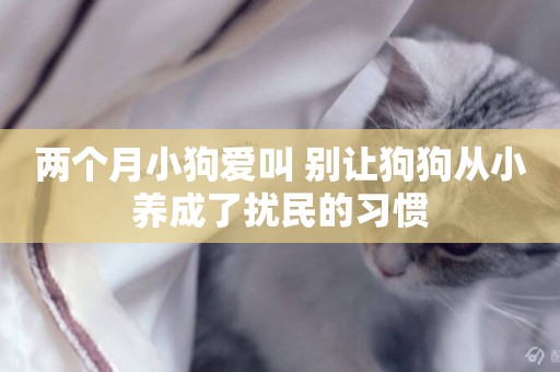 兩個月小狗愛叫 別讓狗狗從小養成了擾民的習慣