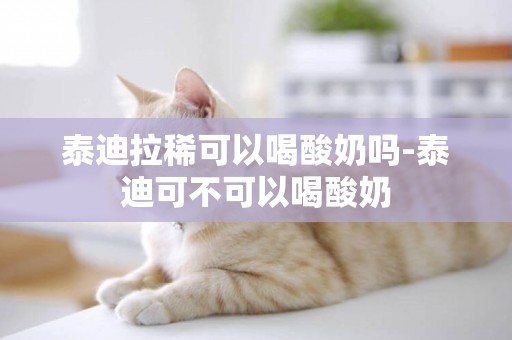 泰迪拉稀可以喝酸奶嗎-泰迪可不可以喝酸奶