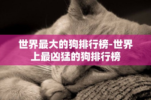 世界最大的狗排行榜-世界上最兇猛的狗排行榜