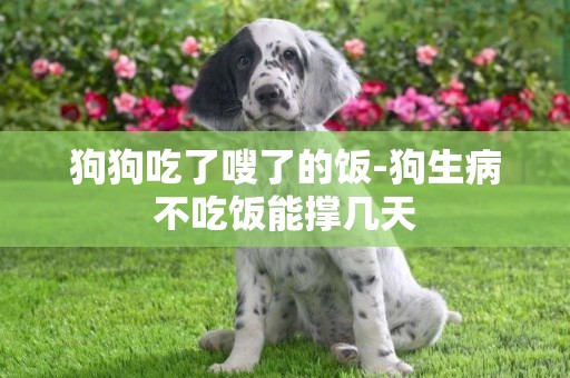 狗狗吃了嗖了的飯-狗生病不吃飯能撐幾天