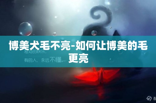 博美犬毛不亮-如何讓博美的毛更亮