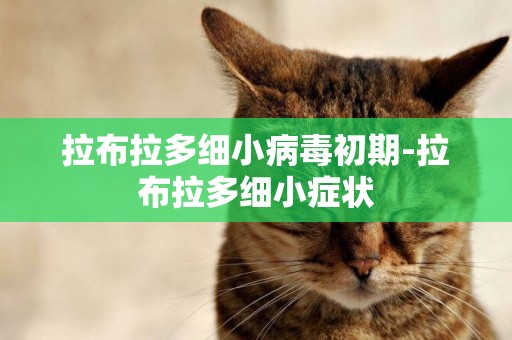 拉布拉多細小病毒初期-拉布拉多細小癥狀