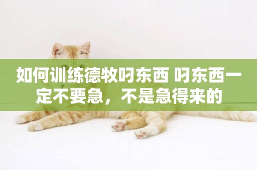 如何訓練德牧叼東西 叼東西一定不要急，不是急得來的