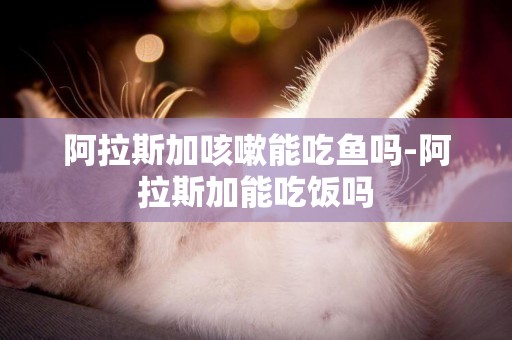 阿拉斯加咳嗽能吃魚嗎-阿拉斯加能吃飯嗎