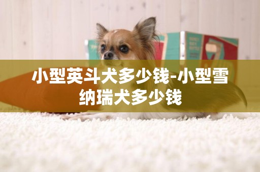 小型英斗犬多少錢-小型雪納瑞犬多少錢