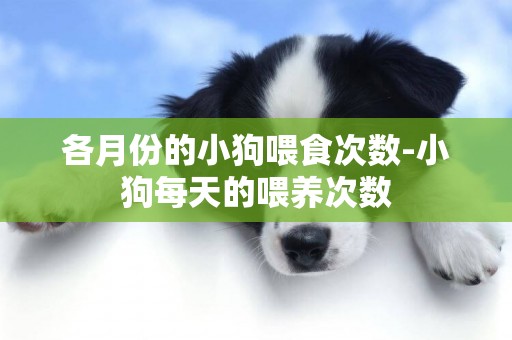 各月份的小狗喂食次數-小狗每天的喂養次數