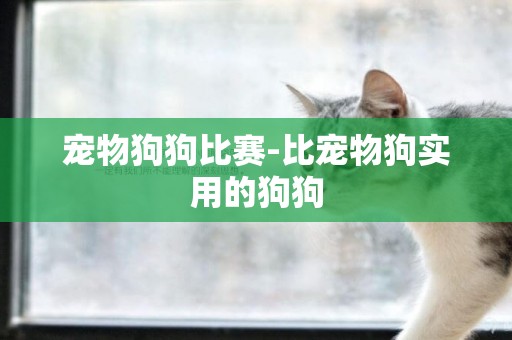 寵物狗狗比賽-比寵物狗實用的狗狗