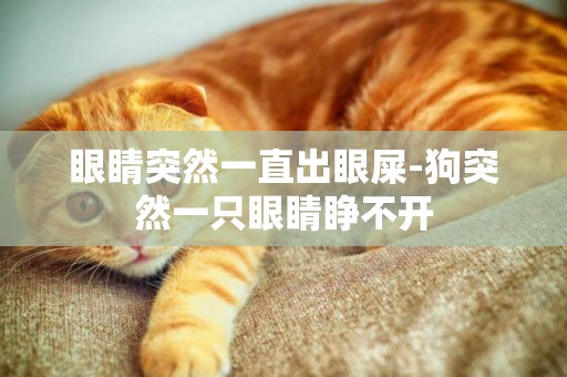 眼睛突然一直出眼屎-狗突然一只眼睛睜不開