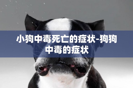小狗中毒死亡的癥狀-狗狗中毒的癥狀