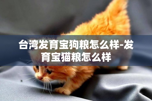 臺灣發育寶狗糧怎么樣-發育寶貓糧怎么樣