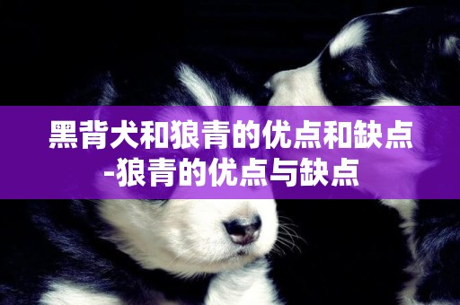 黑背犬和狼青的優點和缺點-狼青的優點與缺點