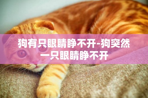狗有只眼睛睜不開-狗突然一只眼睛睜不開