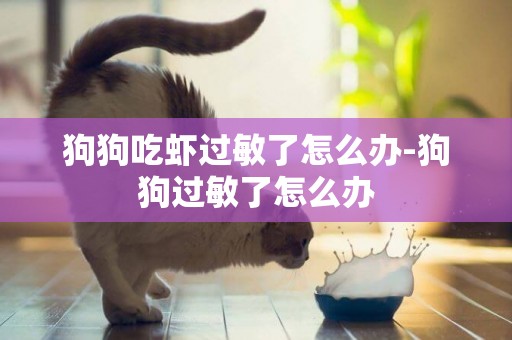 狗狗吃蝦過敏了怎么辦-狗狗過敏了怎么辦