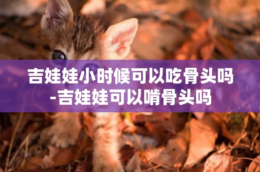 吉娃娃小時候可以吃骨頭嗎-吉娃娃可以啃骨頭嗎