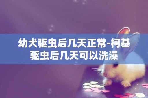 幼犬驅蟲后幾天正常-柯基驅蟲后幾天可以洗澡