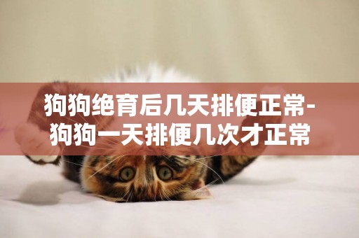 狗狗絕育后幾天排便正常-狗狗一天排便幾次才正常