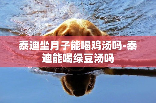 泰迪坐月子能喝雞湯嗎-泰迪能喝綠豆湯嗎