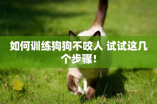 如何訓練狗狗不咬人 試試這幾個步驟！