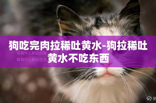 狗吃完肉拉稀吐黃水-狗拉稀吐黃水不吃東西