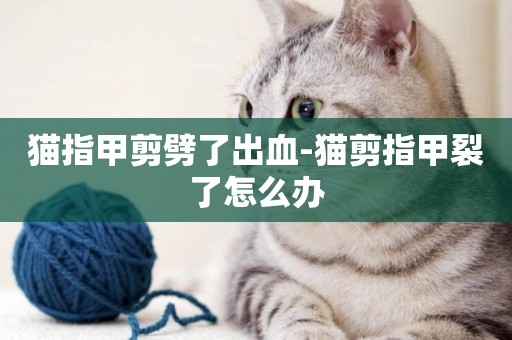 貓指甲剪劈了出血-貓剪指甲裂了怎么辦