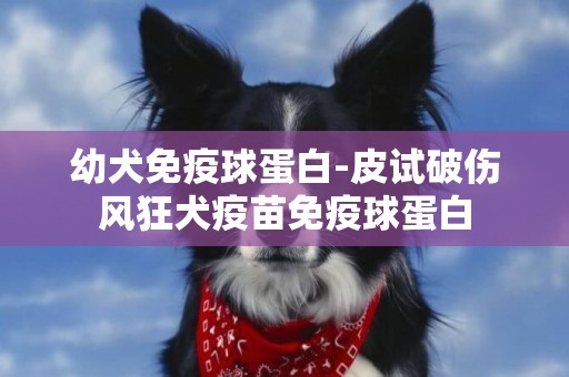 幼犬免疫球蛋白-皮試破傷風狂犬疫苗免疫球蛋白