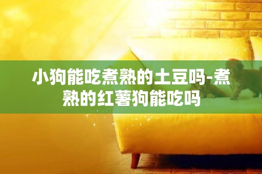 小狗能吃煮熟的土豆嗎-煮熟的紅薯狗能吃嗎