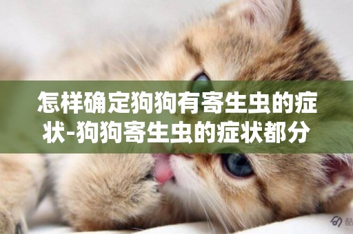 怎樣確定狗狗有寄生蟲的癥狀-狗狗寄生蟲的癥狀都分別有哪些