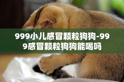 999小兒感冒顆粒狗狗-999感冒顆粒狗狗能喝嗎