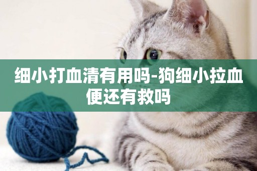 細小打血清有用嗎-狗細小拉血便還有救嗎