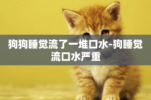 狗狗睡覺流了一堆口水-狗睡覺流口水嚴重